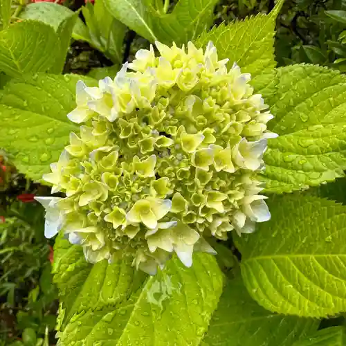 豊景神社の自然