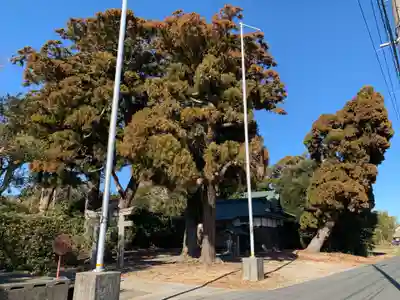 稲荷神社(千葉県)