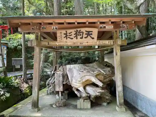 目の霊山　油山寺(静岡県)