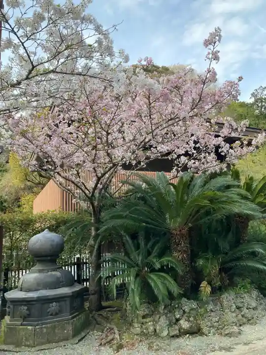 妙本寺(神奈川県)