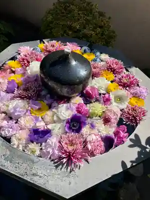 神楽坂安養寺(東京都)