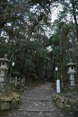 醍醐寺（上醍醐）の自然