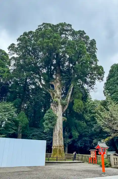 霧島神宮(鹿児島県)