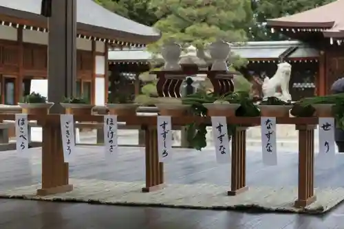 城南宮(京都府)