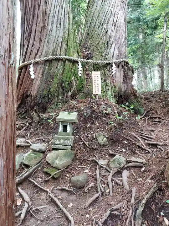 戸隠神社火之御子社の{uncategorized: "未分類", other: "その他", undefined: "問題あり", building: "その他建物", grave: "お墓", sacred_gate: "鳥居", guardian: "狛犬", statue: "像", buddha: "仏像", history: "歴史", nature: "自然", garden: "庭園", animal: "動物", pagoda: "塔", temizu: "手水舎", mountain_gate: "山門・神門", sanctuary: "本殿・本堂", subordinate: "末社・摂社", art: "芸術", scenery: "景色", jizo: "地蔵", ema: "絵馬", goshuin: "御朱印", omikuji: "おみくじ", items: "授与品その他", amulet: "お守り", goshuincho: "御朱印帳", eats: "食事", festival: "お祭り", votive_dance: "神楽", shichigosan: "七五三参", wedding: "結婚式", experience: "体験その他", initially: "初詣", around: "周辺", anti_infection: "感染症対策"}