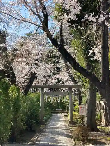 松陰神社の鳥居