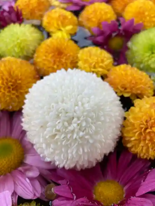 大鏑神社(福島県)