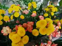 彌彦神社 (伊夜日子神社)の手水舎