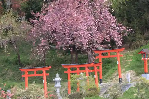 高屋敷稲荷神社の景色