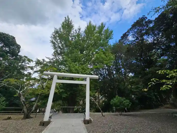 安房神社(千葉県)