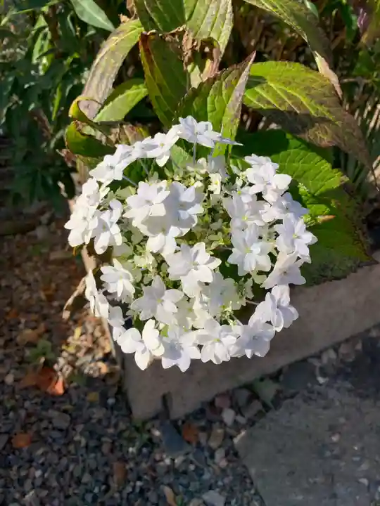 建勲神社の自然
