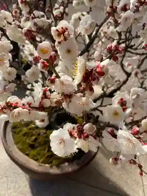 湯島天満宮のその他建物