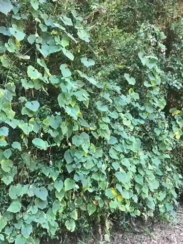 神麻続機殿神社(皇大神宮所管社)の自然