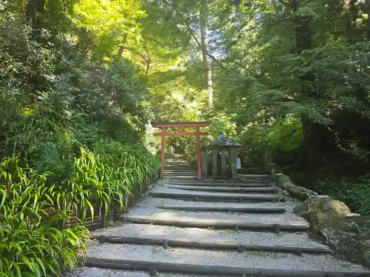 岡寺(龍蓋寺)(奈良県)