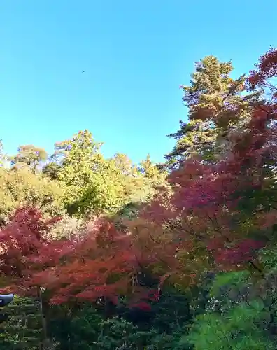 吸湖山　青岸寺の自然
