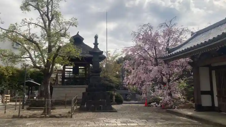 禪定院(東京都)