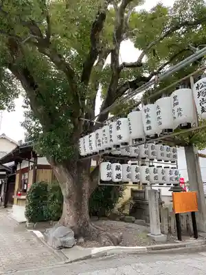 生根神社(大阪府)