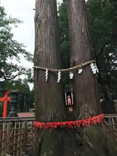 櫛引八幡宮の自然