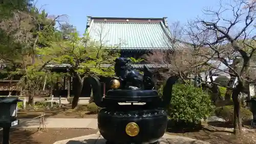 豪徳寺の狛犬