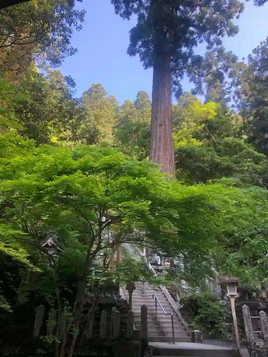 由岐神社(京都府)
