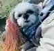 あぶちゃんさんのプロフィール画像