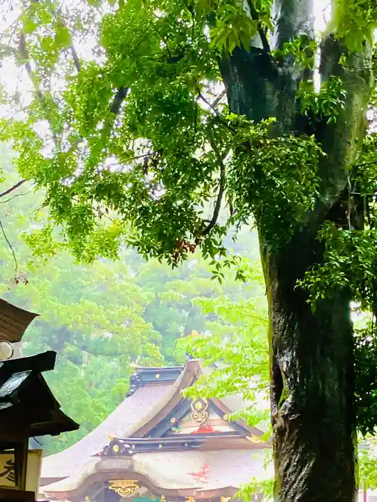 香取神宮(千葉県)