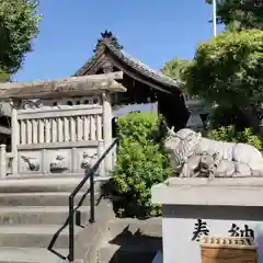 羊神社の狛犬