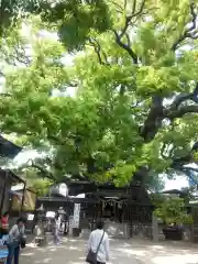 三島神社(大阪府)