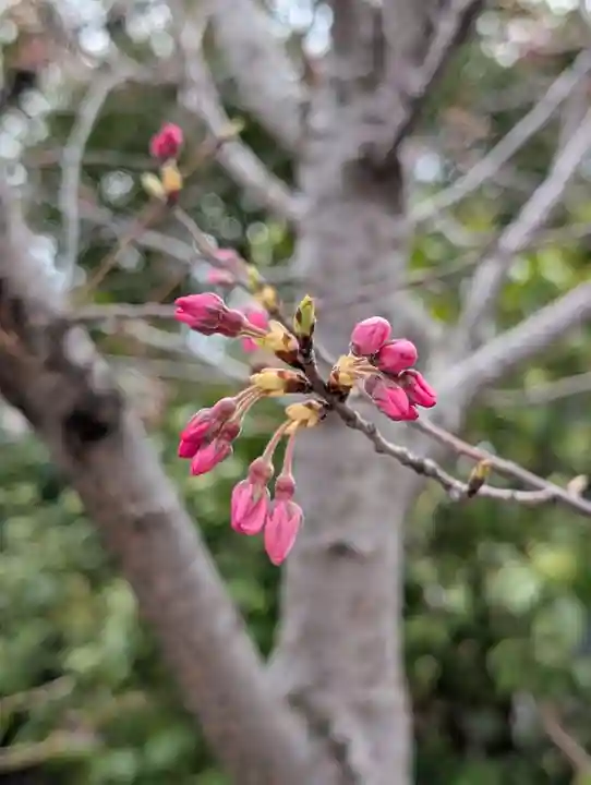 潮田神社(神奈川県)