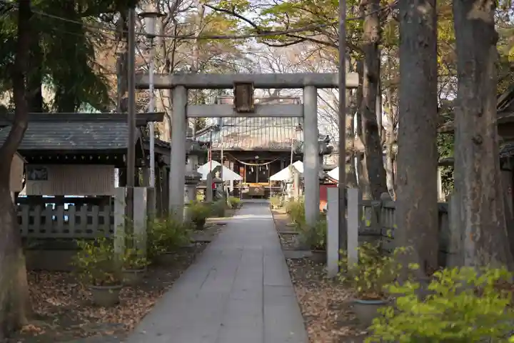 丸子山王日枝神社の鳥居