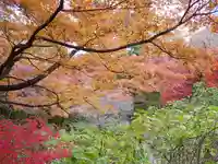 洞窟観音・徳明園・山徳記念館の景色