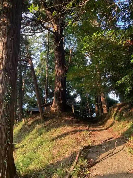 浅間神社(千葉県)