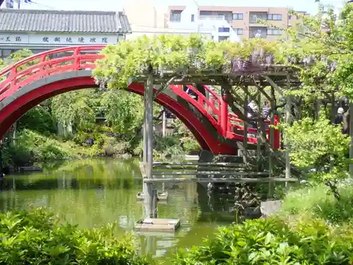 亀戸天神社(東京都)