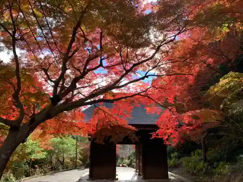 普門寺(切り絵御朱印発祥の寺)の山門・神門