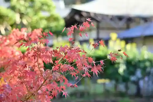 建長寺(神奈川県)