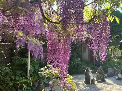 市場稲荷神社(大阪府)