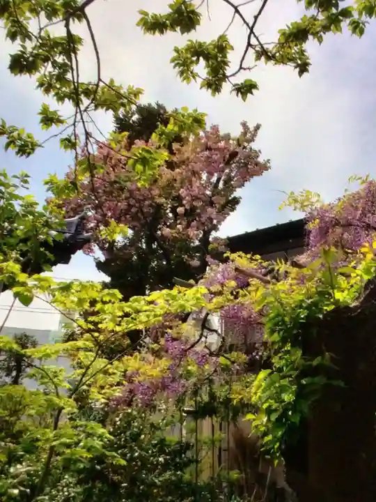 圓照寺(東京都)