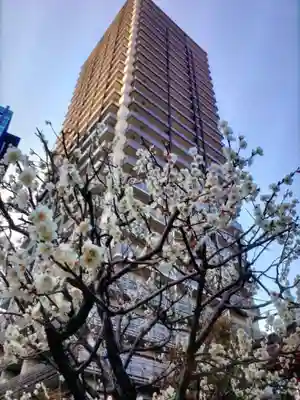 成子天神社(東京都)