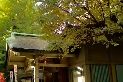銀杏岡八幡神社の本殿・本堂