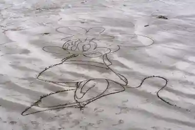 青島神社（青島神宮）(宮崎県)