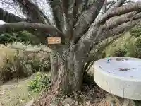 比島観音(愛知県)