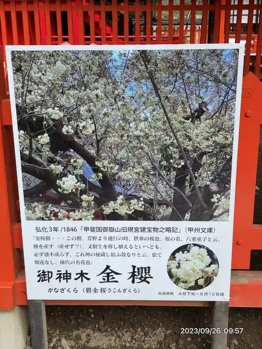 金櫻神社(山梨県)