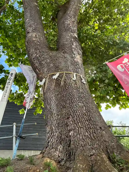 龍宮神社(北海道)