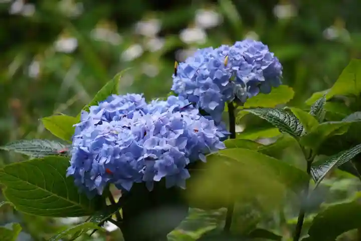 尻岸内八幡神社の景色