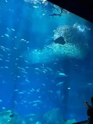 大洗磯前神社(茨城県)