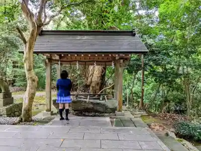 須須神社の手水舎