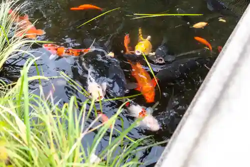彦島八幡宮(山口県)