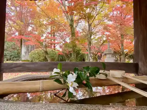 真正極楽寺（真如堂）の手水舎