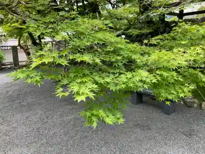 修禅寺(静岡県)