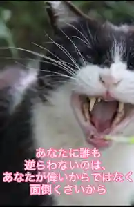 専念寺(大阪府)(2021年06月06日(日) 12時16分32秒投稿)